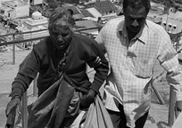 自动攻击网站工具下载