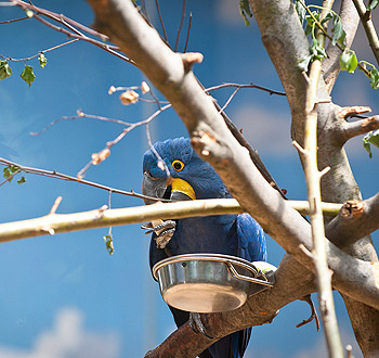 网站ddos隐藏源ip