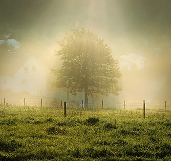 免费ddos在线攻击测试网站